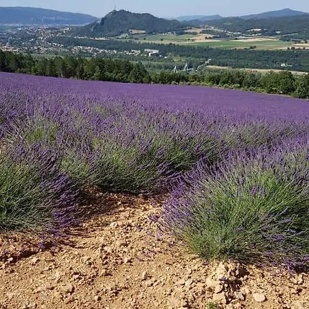 Сasa de vacaciones Le Lavandin Volonne