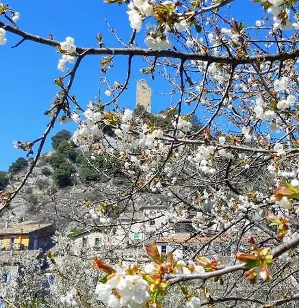 Le Lavandin 度假居 *