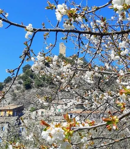 Le Lavandin Holiday home *